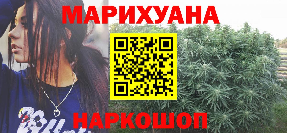 Конопля сатива Кохма